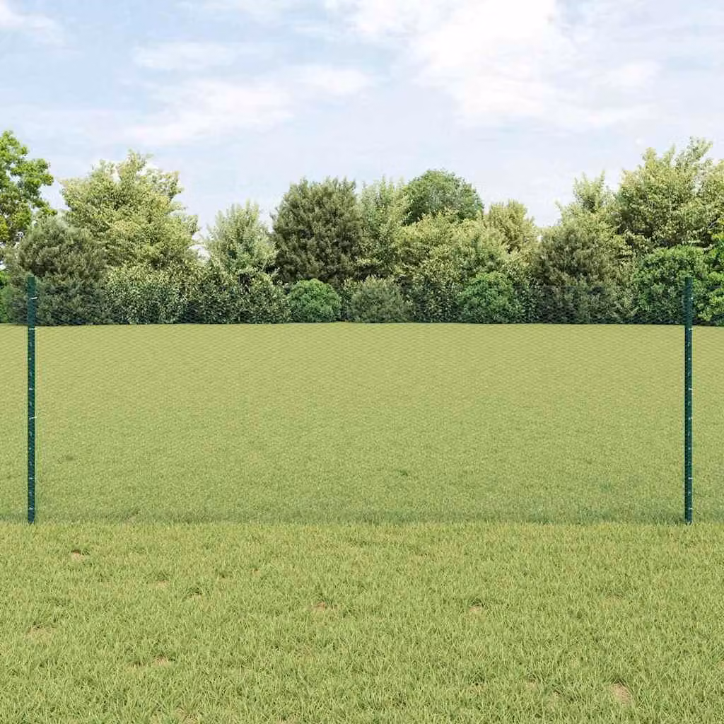 Maison Exclusive - Recinzione con Posto Verde 0,8 x 10 m Acciaio e PVC