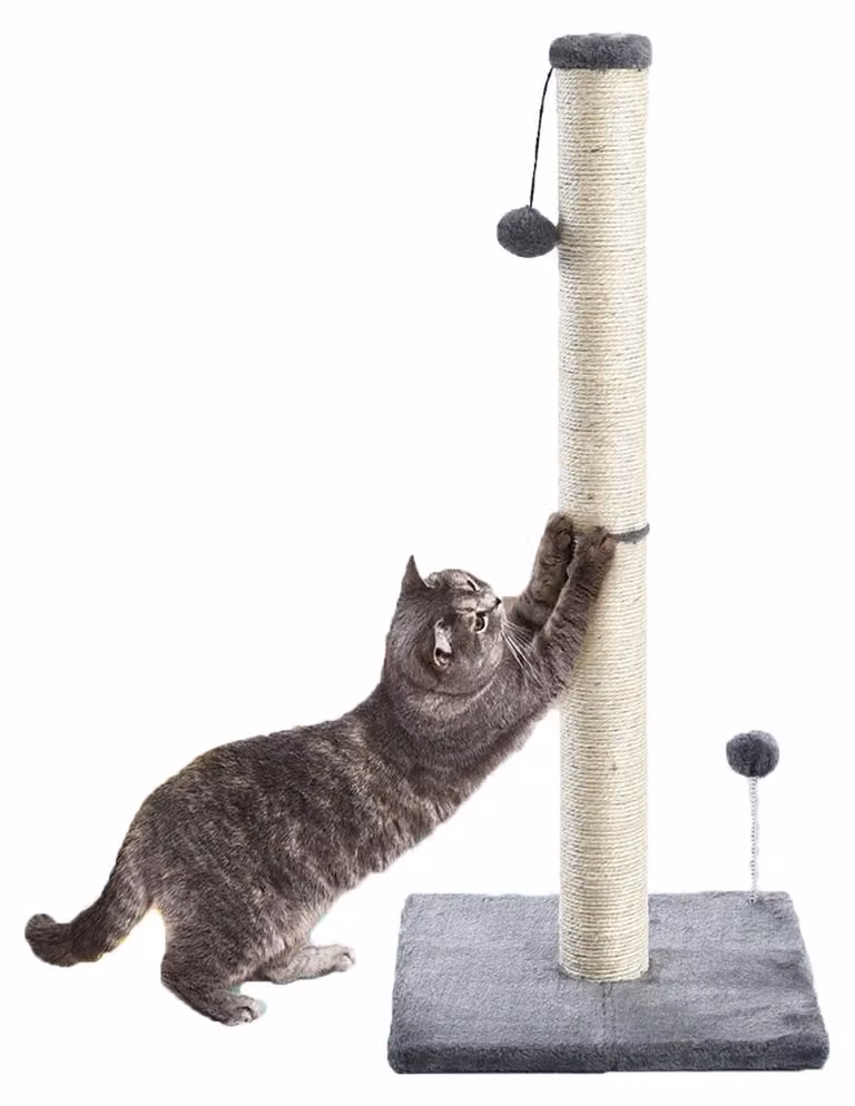 Albero per gatti, 79 cm, fusto in sisal con pallina appesa, colore grigio
