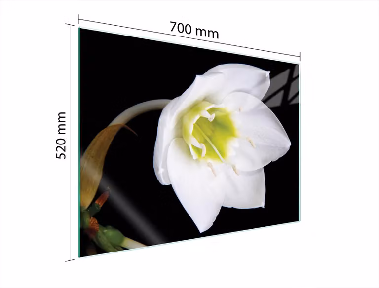 Piastra Protettiva In Vetro Per Orchidea 70X52