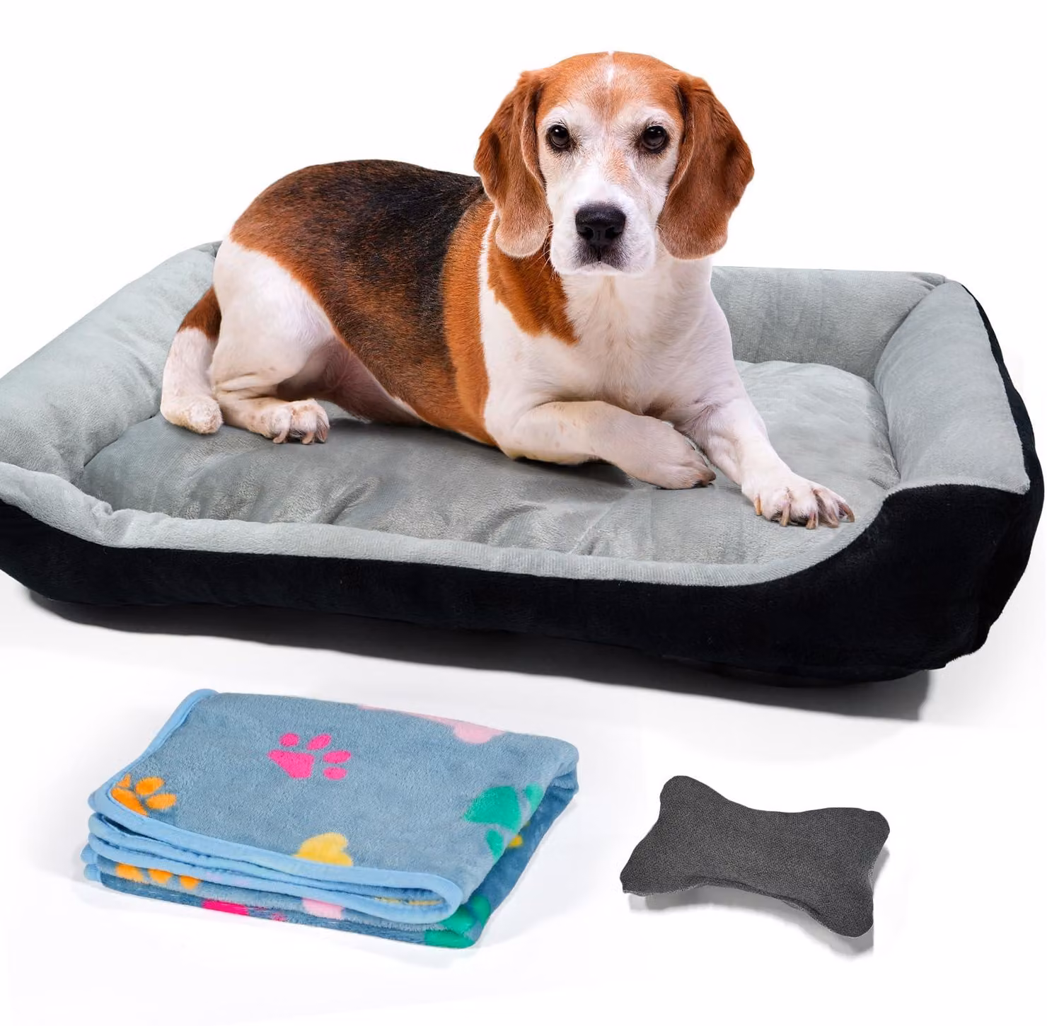 Cuccia per cani di taglia media, con bordi rialzati e lavabile. Cuccie per cani