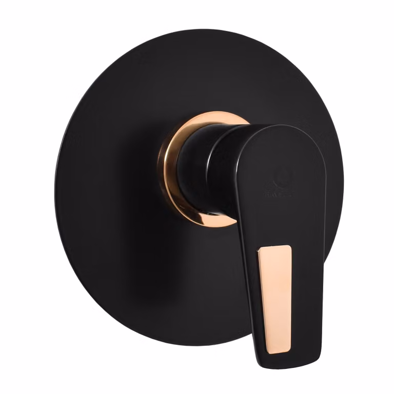 Slezák-RAV Slezák Rav CO383LCMATZ Miscelatore da incasso per doccia nero opaco/oro Colore: nero opaco/oro