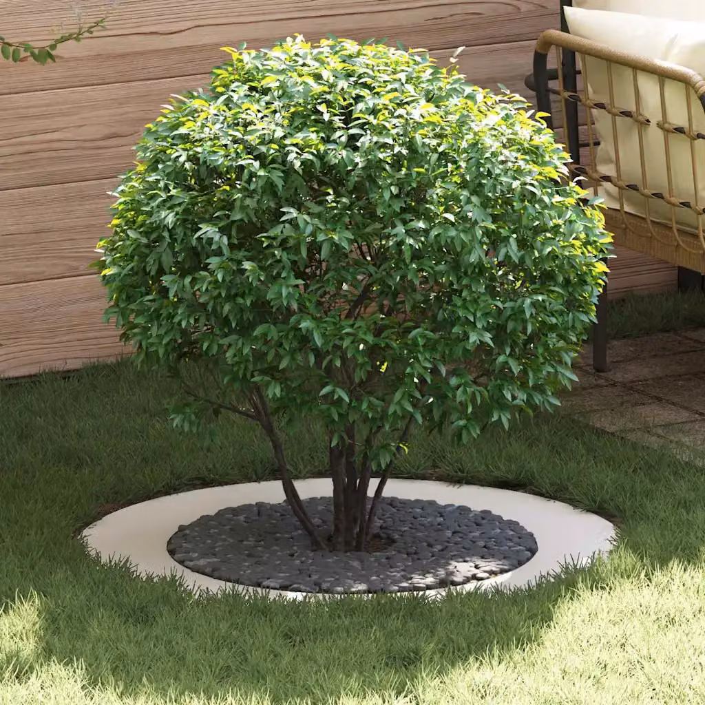 Set di 5 anelli d'albero piatti vidaXL in acciaio bianco per piante ornamentali Ø60/90 cm