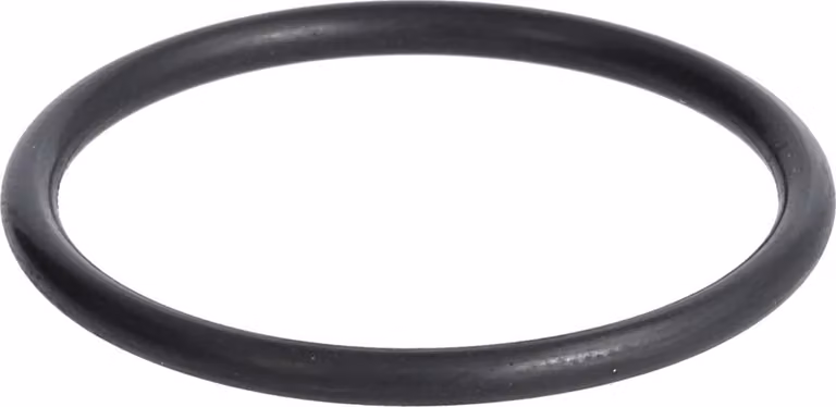 LAPP O-ring per raccordo PG21 O-ring PG21 gomma nitrilica butadiene (NBR) colore nero - 1 pezzo