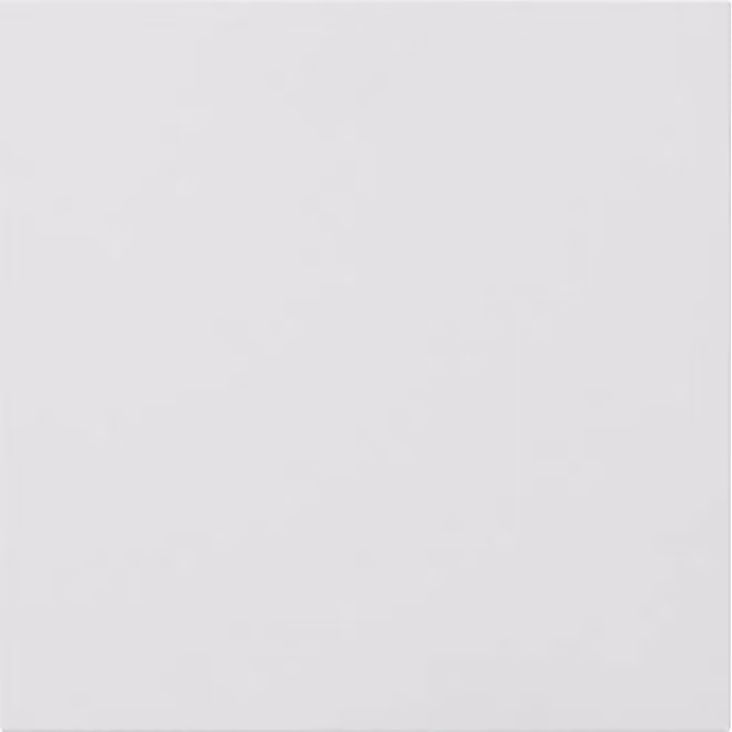 Gira Pannello frontale per modulo informativo/cieco Sistema 106 Bianco traffico (laccato) 5554902