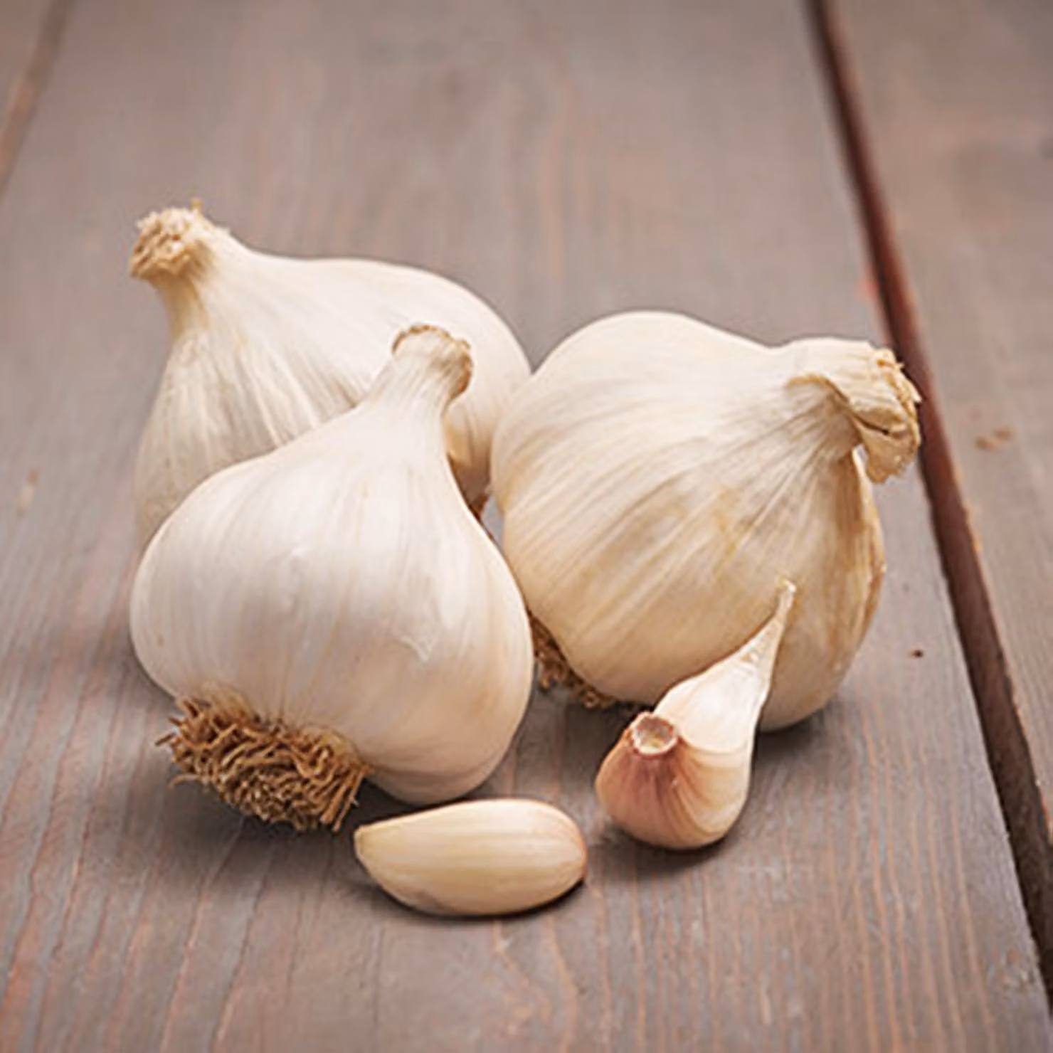 Aglio invernale Aglio bianco Messidrome commestibile 0,25 kg