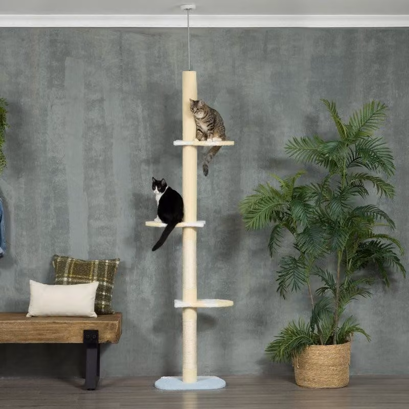 Albero per gatti – Albero per gatti a tutta altezza | Colore: Beige | Dimensioni: 34x47x220-260 cm