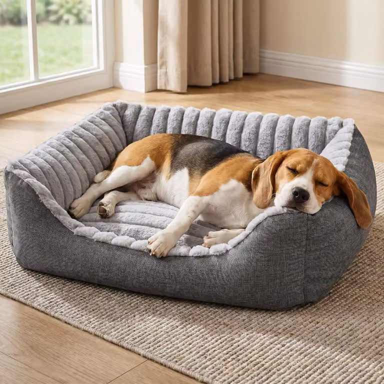 Cuccia per cani di taglia media, con base antiscivolo e rivestimento lavabile