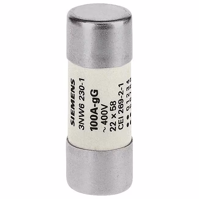 SIEMENS 3NW62301 3NW6230-1 Sicurezza a cilindro gG (NFC) senza indicatore