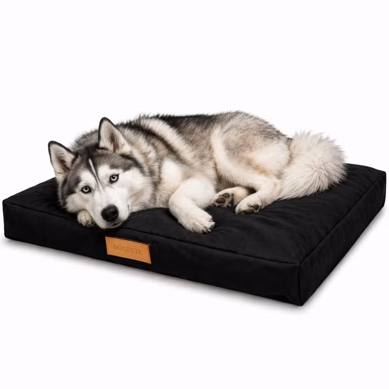 Letto per cani - Cuscino per cani di taglia grande - Tappetino per cani XXL nero