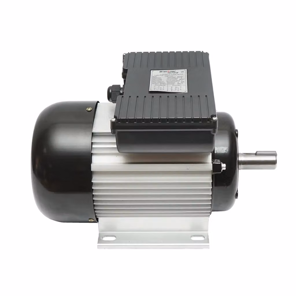 Motore elettrico monofase Thor 2,2KW 220V IP44 in alluminio nero – 2