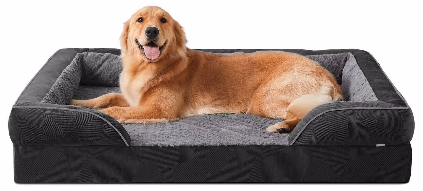 Cuccia ortopedica per cani, realizzata in memory foam, lavabile, dimensioni 107x81x17 cm, colore nero