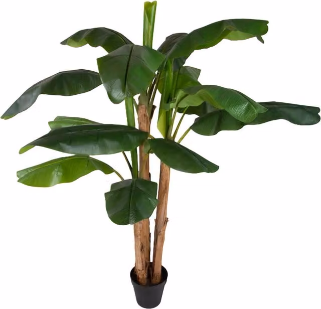 Pianta Artificiale Banana con Vaso H 240 cm