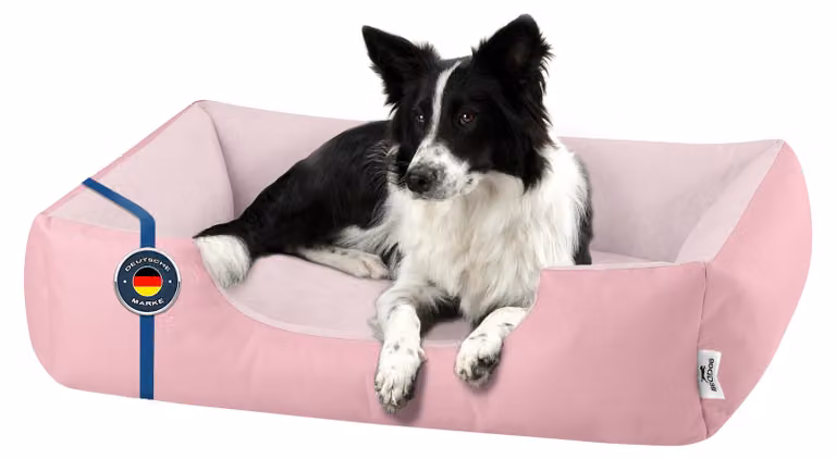 Letto per cani BedDog ZARA: cuscino per cani con rivestimento lavabile, cuccia per cani, divanetto per cani, PINK-YORK (rosa), (L) ca. 80x65x18 cm