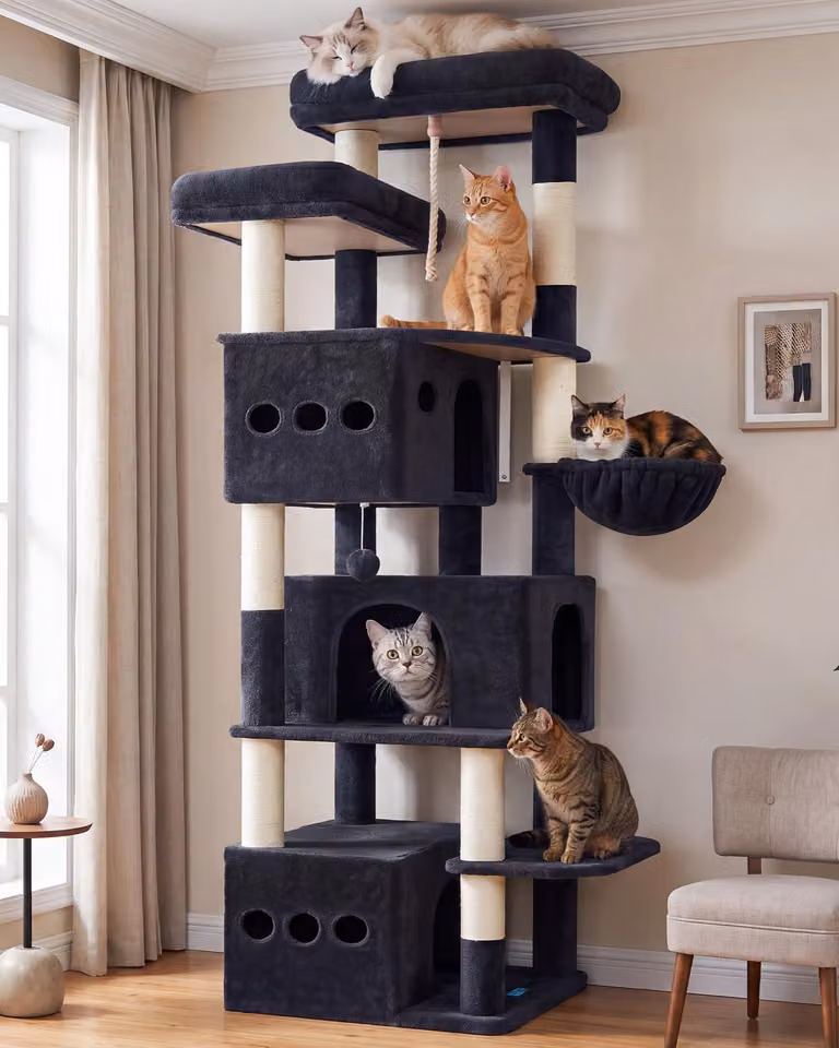 Albero per gatti XXL, alto 182 cm, con diverse piattaforme