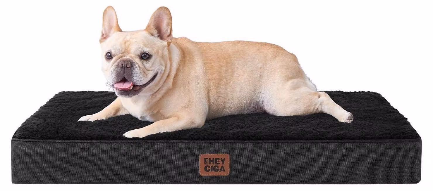Cuccia ortopedica per cani, 76x51 cm, lavabile, colore nero