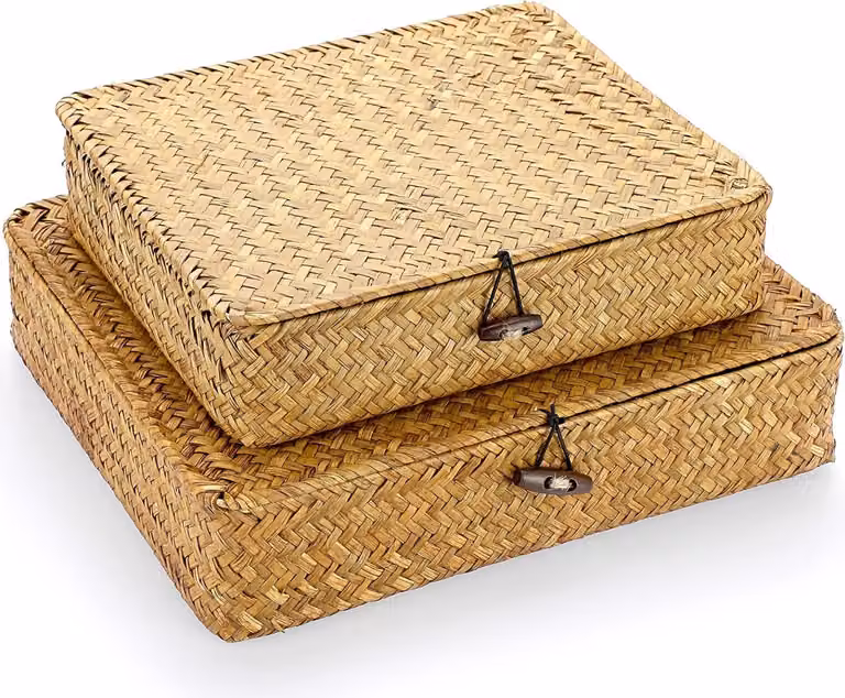 Cestini in rattan intrecciato con coperchio - set di 2 - sandbox in seagrass naturale - caramello