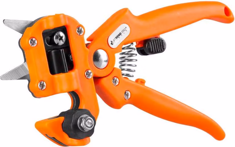 Pinze Strend Pro, set, per innesto