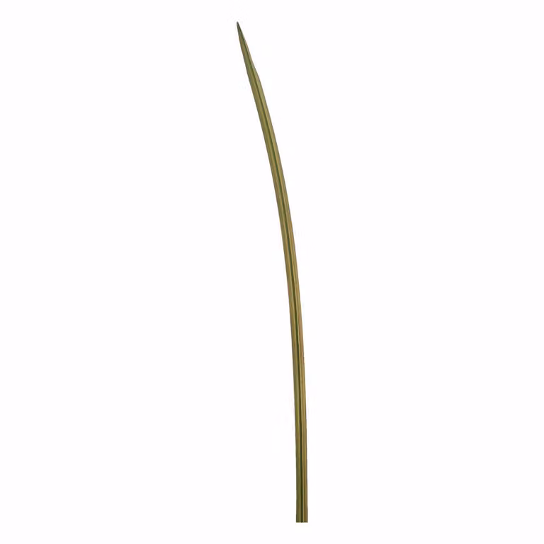 Leonardo Schwertblatt 91 Fiore 31695