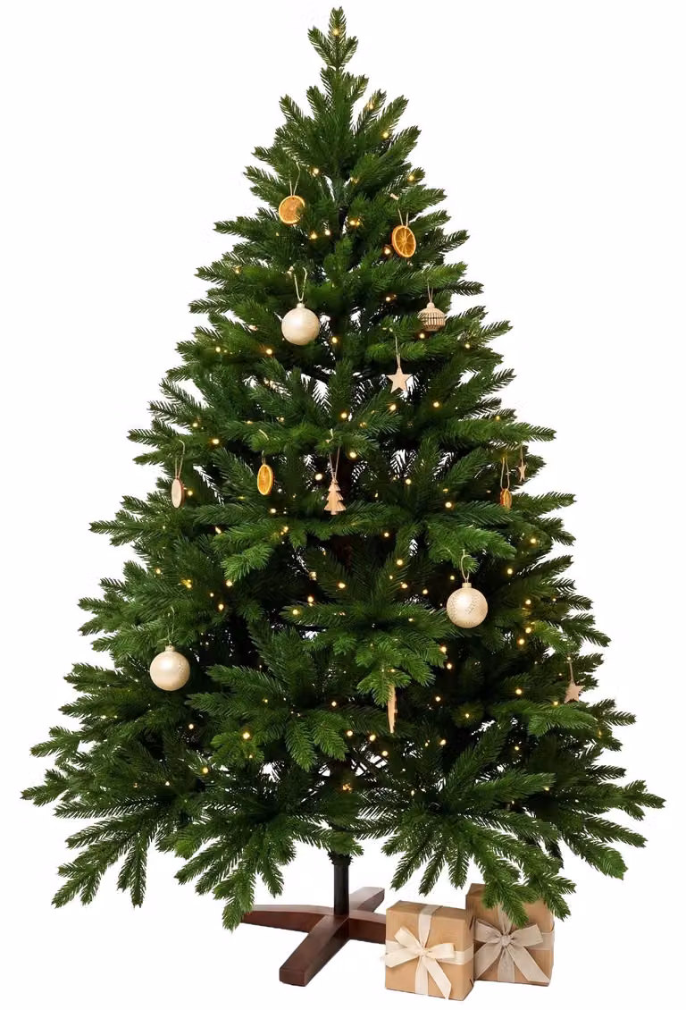 Albero di Natale NORDMANN LED 180 in polietilene verde 127x180 cm