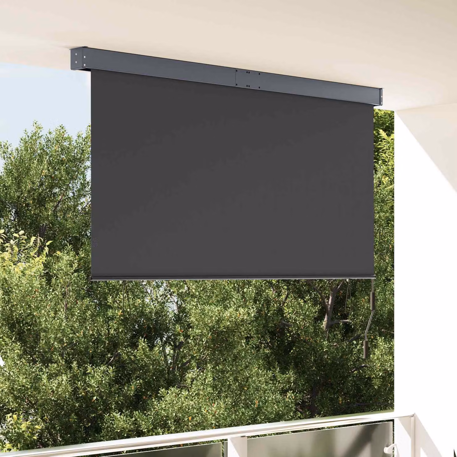 Tenda a rullo vidaXL Antracite in poliestere e alluminio L: 180 cm, H: 250 cm