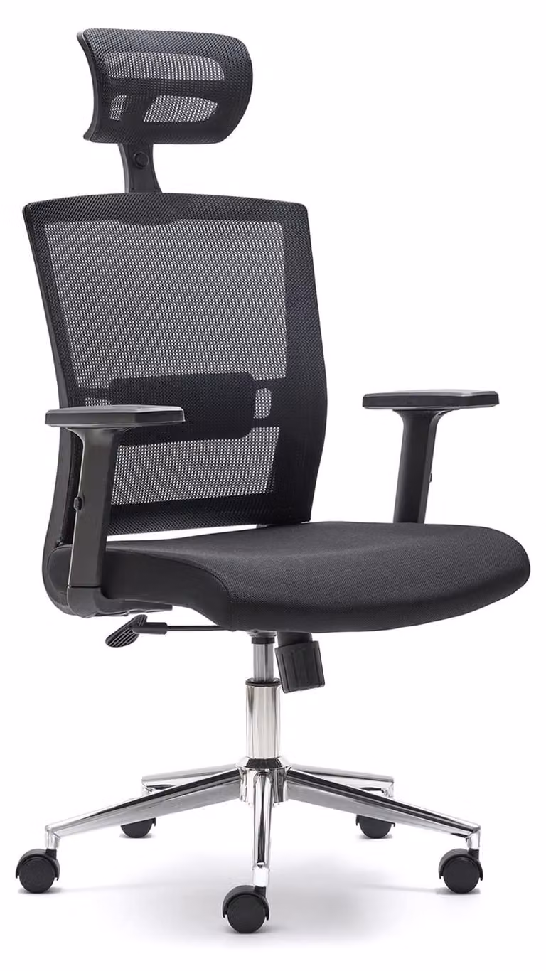 Sedia da ufficio ergonomica con supporto lombare regolabile e braccioli regolabili