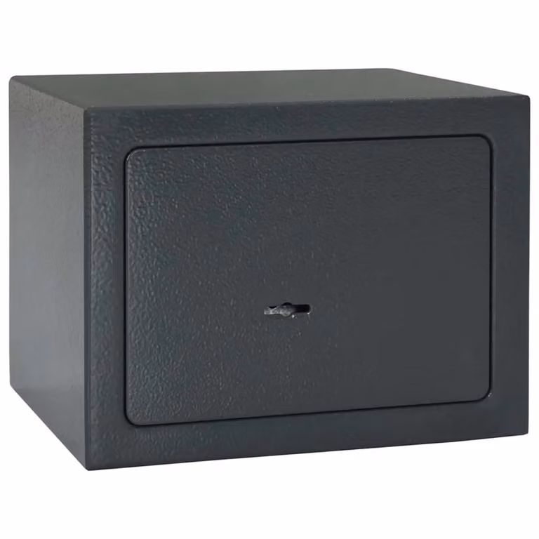 Cassaforte vidaXL in acciaio inossidabile con blocco, colore grigio antracite, L 23 x P 17 x H 17 cm