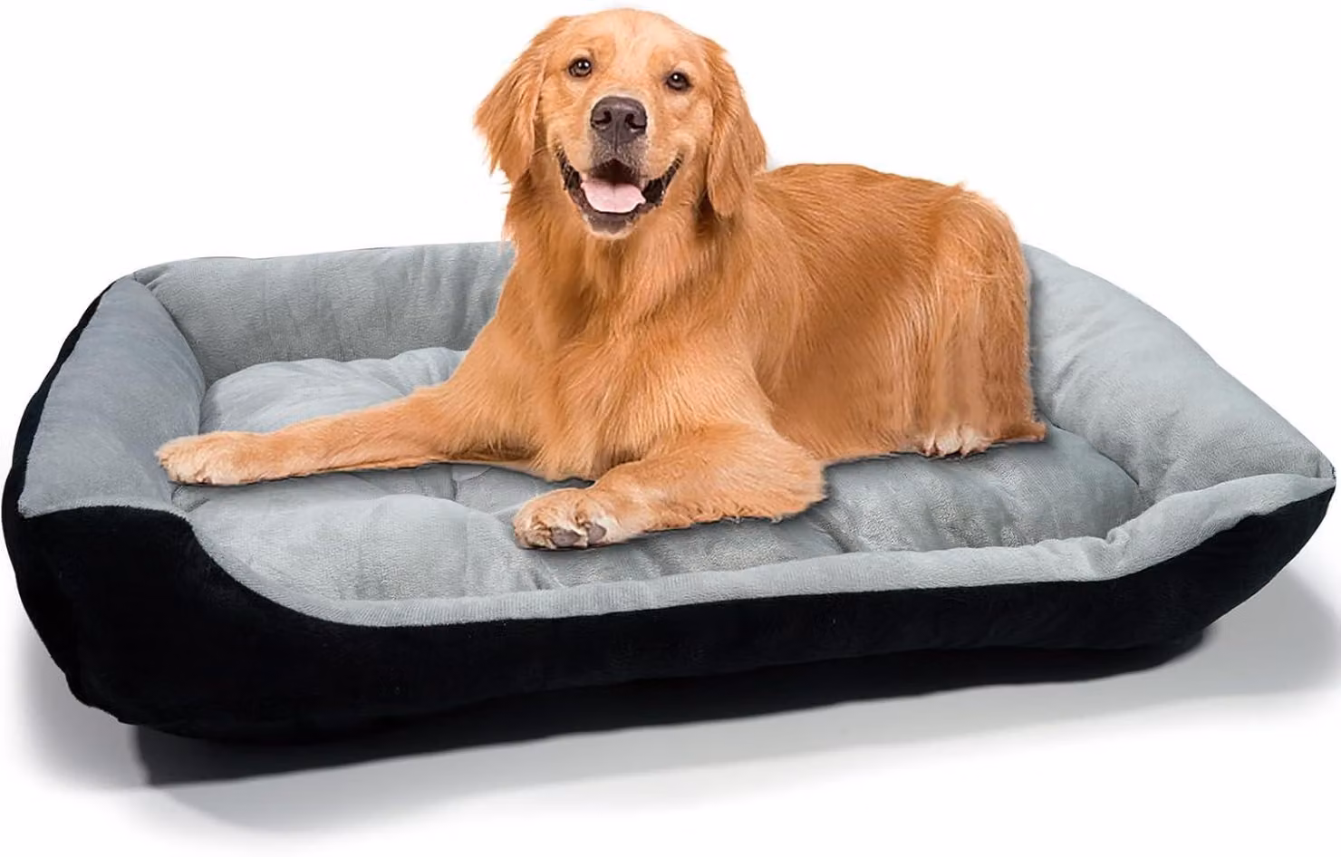Cuccia per cani, 80x60x15 cm, grigia, con base antiscivolo, lavabile, morbida e confortevole, adatta ai cani