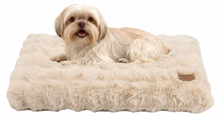 Cuccia lavabile per cani di piccola taglia