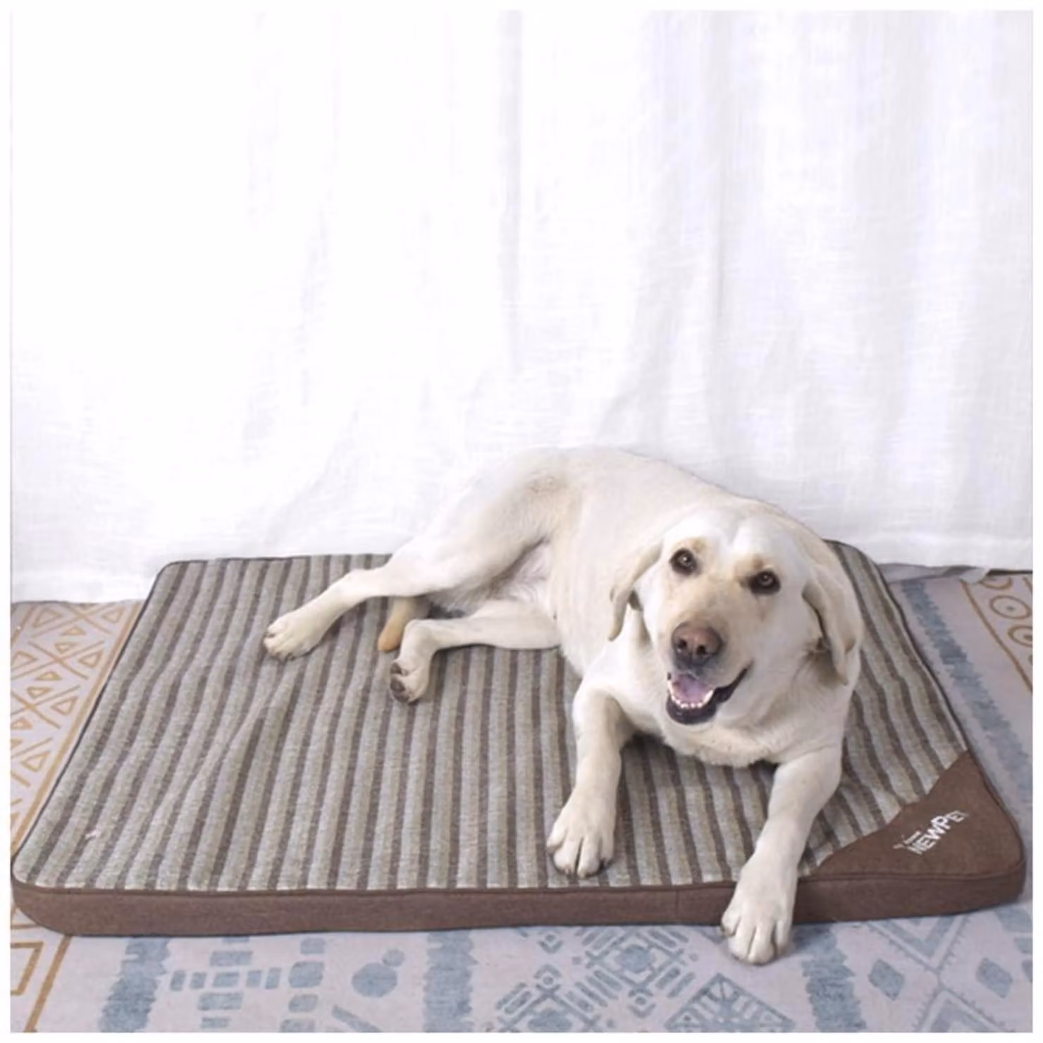 Tappetino ortopedico per cani in memory foam, lavabile, colore caffè, taglia 3XL, dimensioni 95x77x4 cm