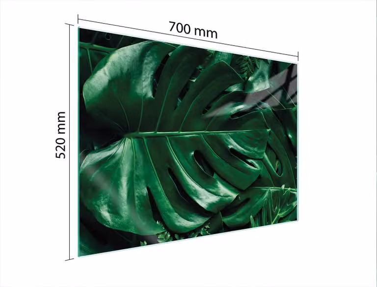 Piastra Di Protezione Del Vetro Per Levi 70X52 Monstera