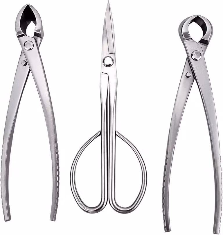 Set di 3 utensili per bonsai - Acciaio inossidabile professionale: set di forbici per bonsai con potatore per gemme, coltello concavo e cesoie per foglie