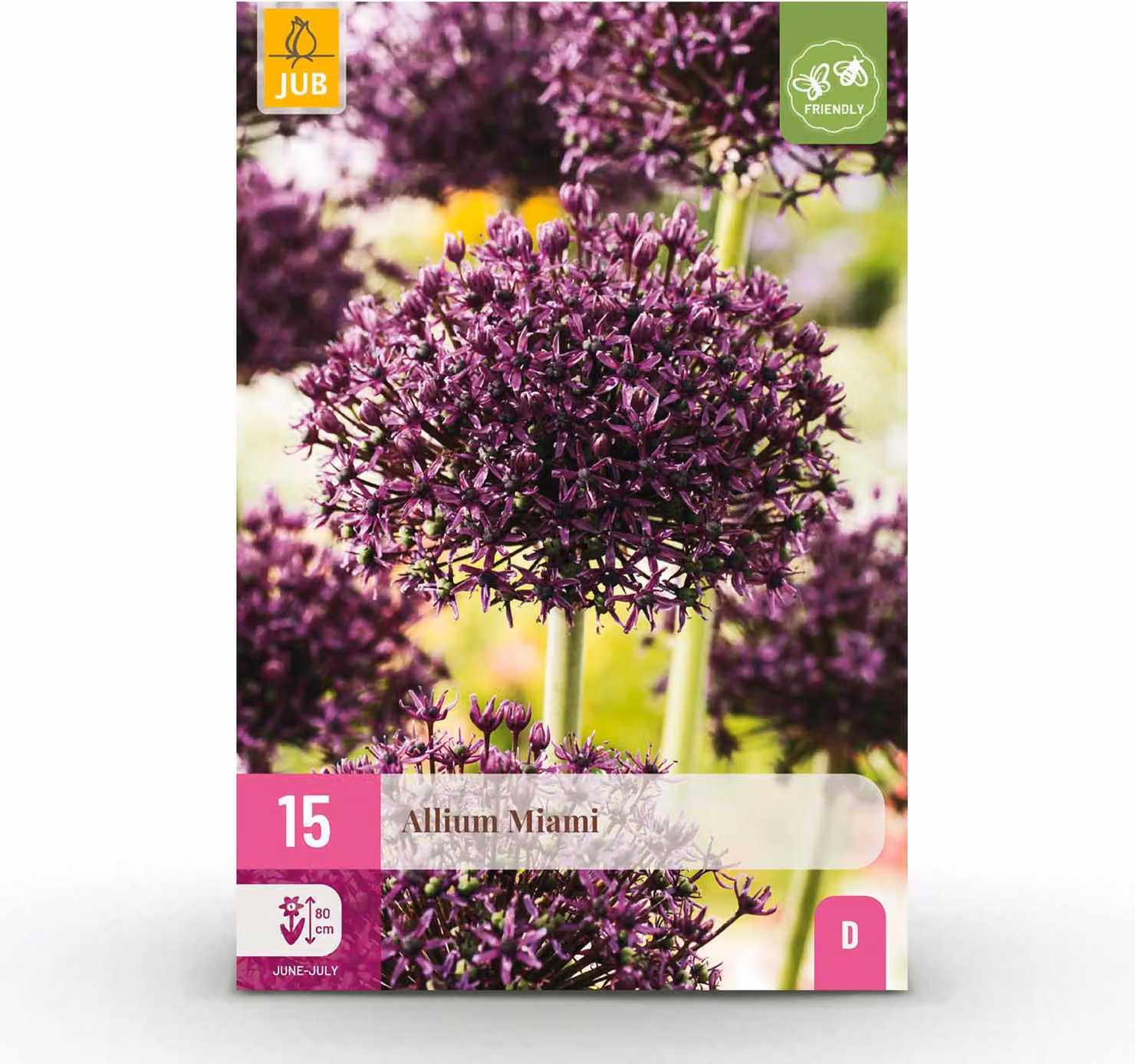 Bulbi da fiore - Allium 'Miami' - Viola - 15 unità - Bulbo di dimensione 10/11 - 50-150cm - Ø10cm - Pianta da giardino - Multideal