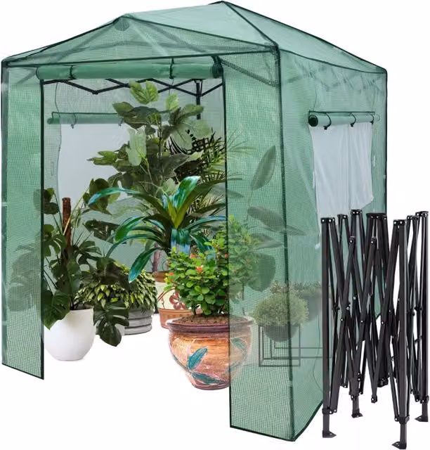 Serra per orto con 2 finestre 2 porte arrotolabili con doppia cerniera, Serra per piante da interno esterno Verde-Serre da giardino