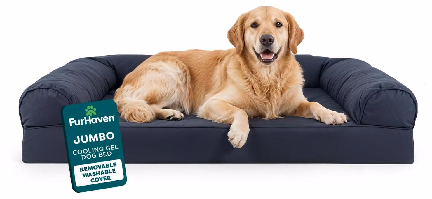 Cuccia rinfrescante per cani di grandi dimensioni, marca Furhaven, con rotoli per il collo rimovibili