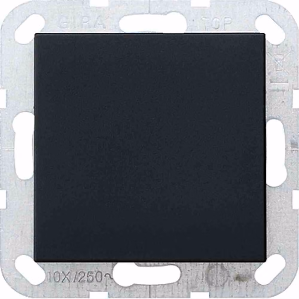 Gira 0268005 Copertura cieca con anello di supporto E2 nero/opaco