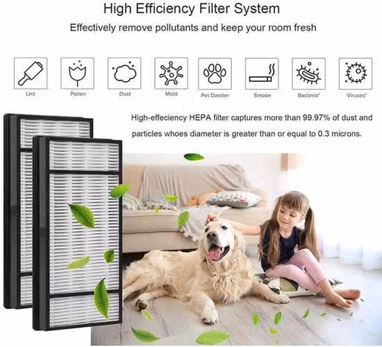 Purificatore d'aria domestico ad alte prestazioni con 2 elementi filtranti