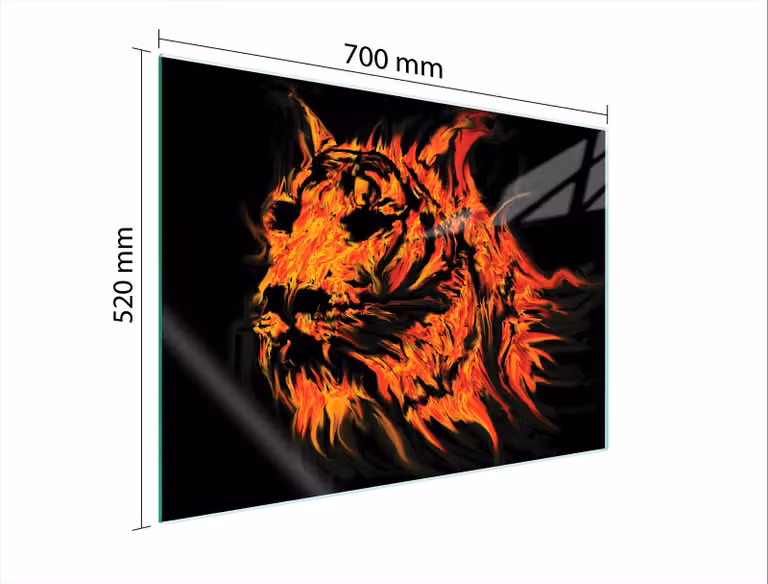 Piastra Di Protezione Dei Vetri Per L'erba 70X52 Tiger