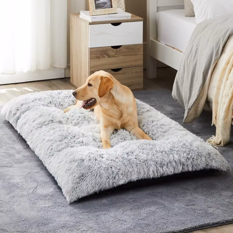 Solidchoice - Cuccia imbottita per cani di grossa taglia, con base antiscivolo