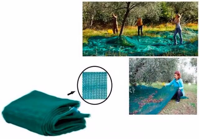 Set di 3 reti per la raccolta di olive e frutta Trade Shop Traesio, colore verde, dimensioni 4 x 8 m – 1
