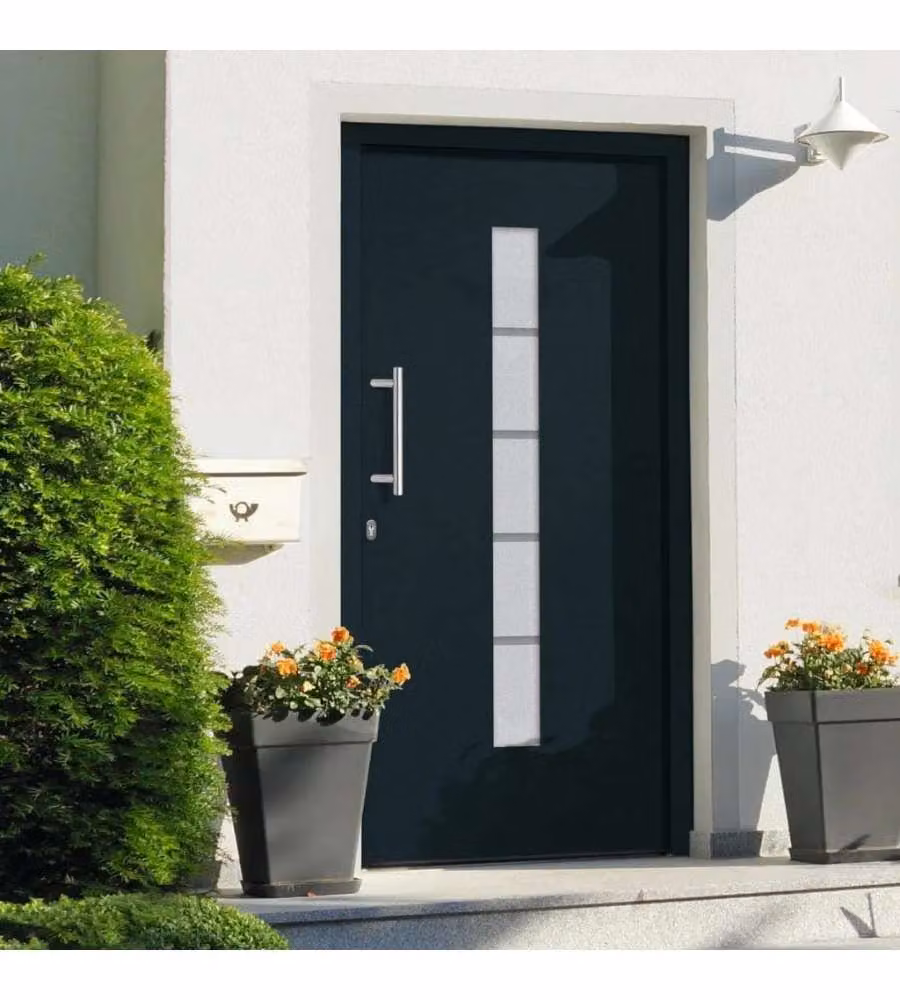 Porta d'Ingresso Moderna vidaXL in Alluminio e Plastica Antracite L: 100 cm, H: 210 cm