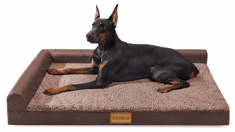 Solidchoice - Cuccia ortopedica per cani, grande, impermeabile e lavabile