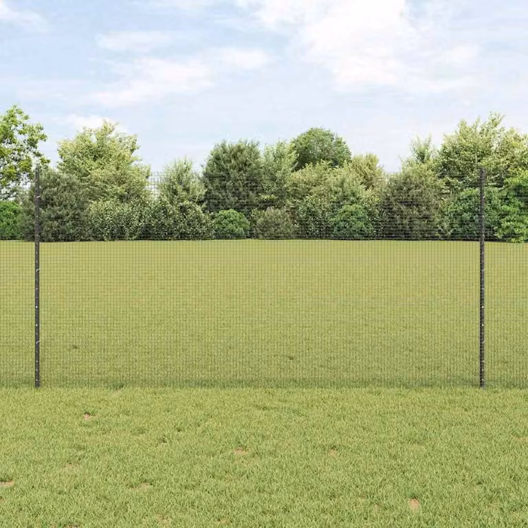 Maison Exclusive - Recinzione con Posto Grigio 1,2 x 10 m Acciaio e PVC