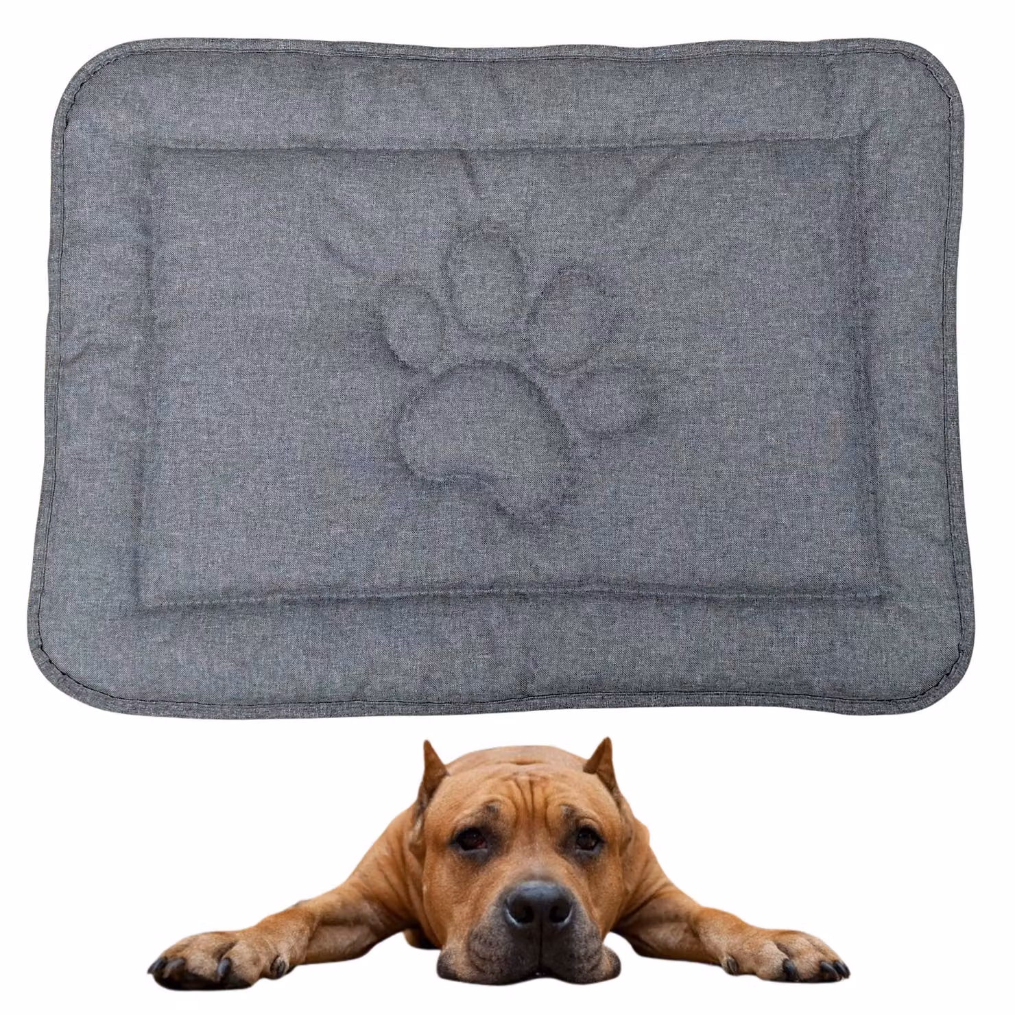 Tappeto per cani DOTTY con motivo a zampa - grigio grafite - misura L (88×60 cm) - impermeabile, antiscivolo e facile da pulire - cuccia per cani di taglia grande