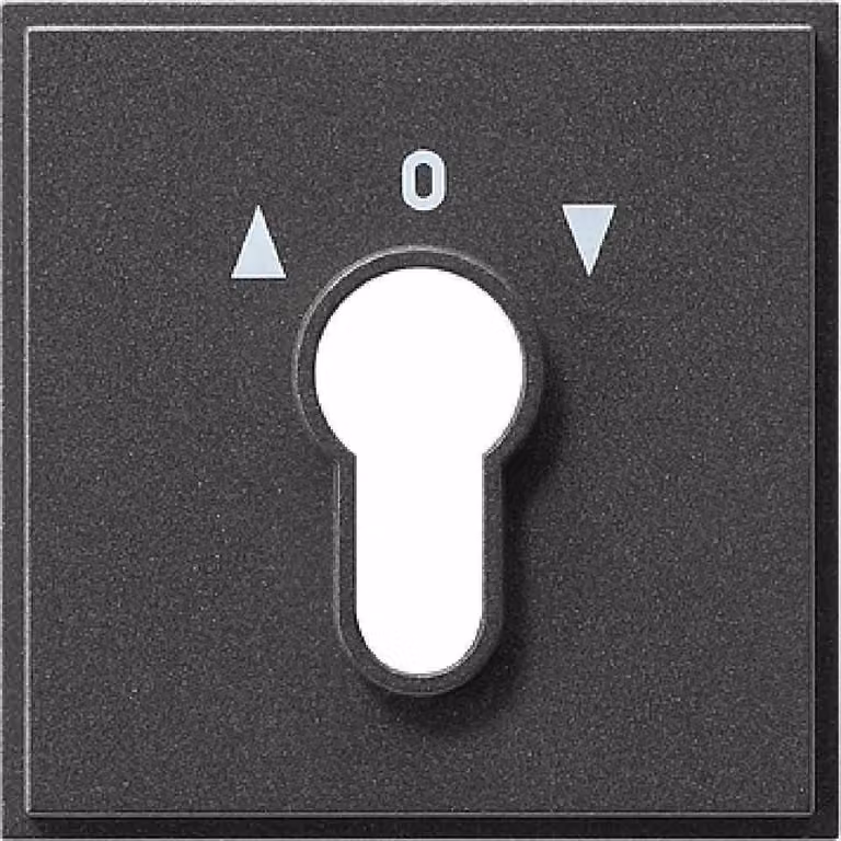 GIRA 066467 Accessori per interruttori elettrici (066467)
