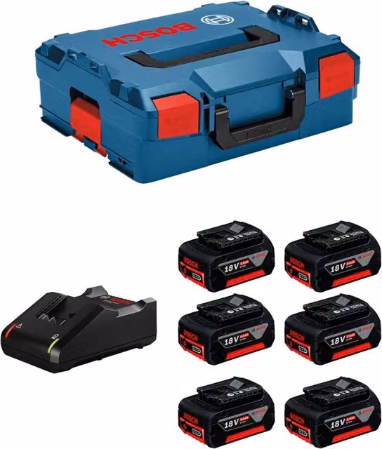 Power Set Bosch Blu con 6 batterie da 5,0 Ah, caricabatterie GAL18V-40 e L-Boxx 136