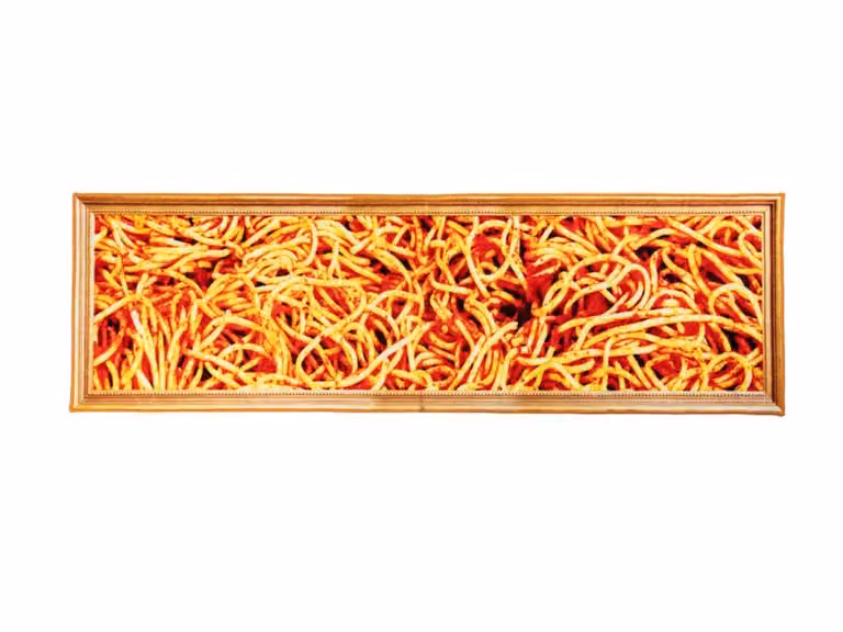 Toiletpaper Spaghetti Tappeto