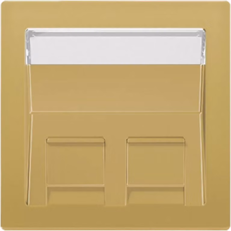 Jung ME569-30BFPLC-L Copertura con campo di scrittura 9 x 51 mm in ottone classico (laccato)