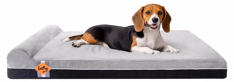Cuccia ortopedica per cani realizzata in memory foam, con cuscino, fodera interna impermeabile, rivestimento removibile, colore grigio ardesia, dimensioni 101x63x15 cm