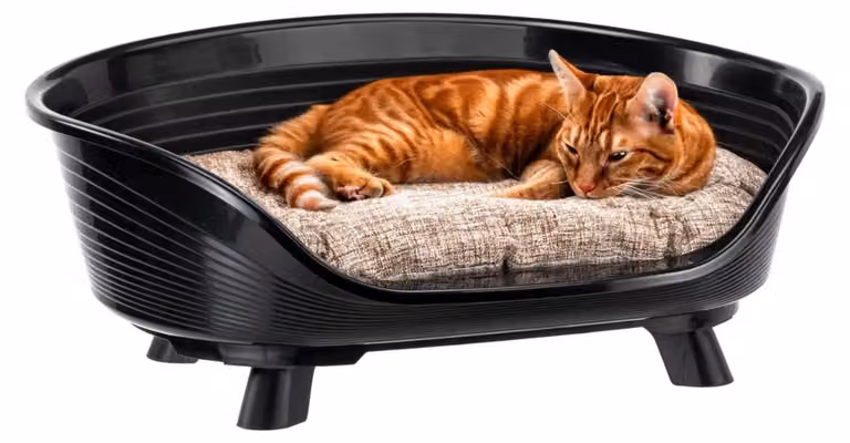 Cuccia per cani e gatti con cuscino in cotone, piccola