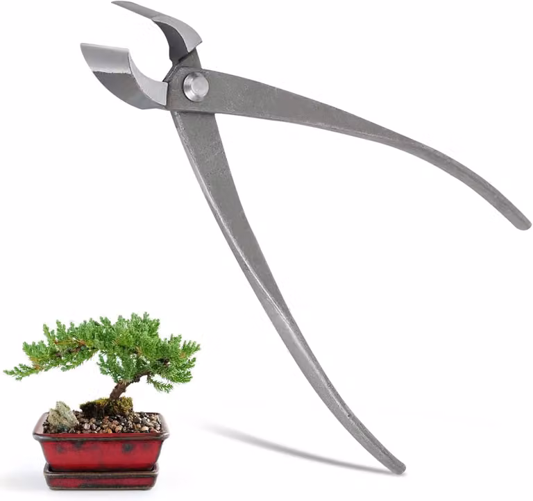 Forbici concave ergonomiche da 21,3 cm, specifiche per la potatura dei bonsai